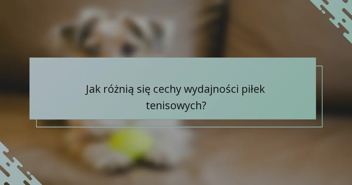 Jak różnią się cechy wydajności piłek tenisowych?
