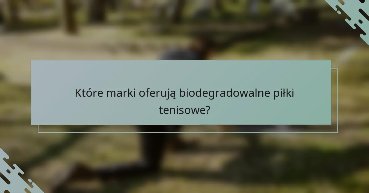 Które marki oferują biodegradowalne piłki tenisowe?