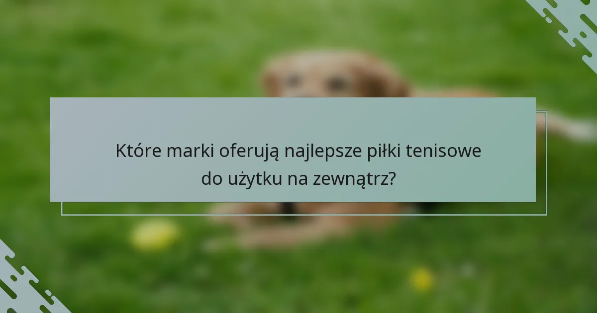 Które marki oferują najlepsze piłki tenisowe do użytku na zewnątrz?